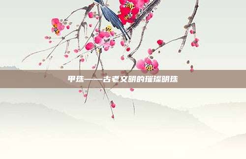 甲珠——古老文明的璀璨明珠