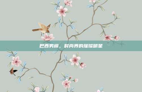 巴西男模，时尚界的璀璨明星