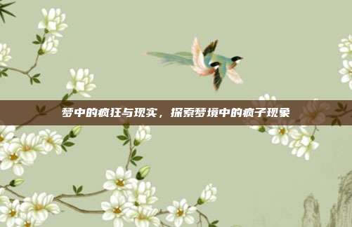 梦中的疯狂与现实,探索梦境中的疯子现象