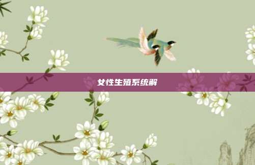 女性生殖系统解