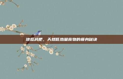 地瓜减肥，天然低热量食物的瘦身秘诀