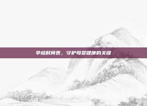 孕检时间表,守护母婴健康的关键