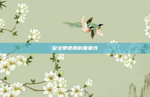 安全带使用的重要性