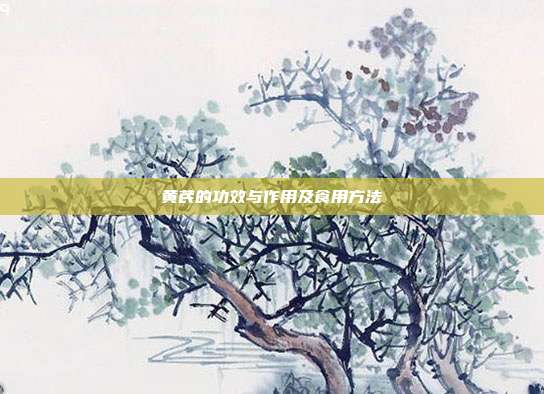 黄芪的功效与作用及食用方法