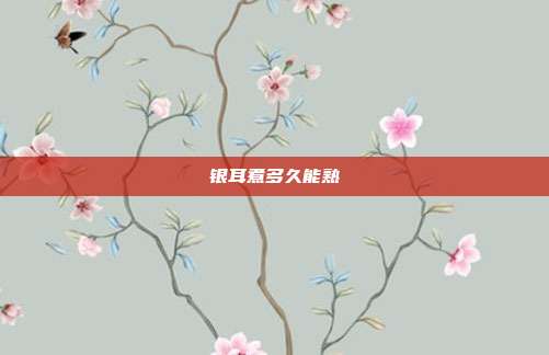 银耳煮多久能熟
