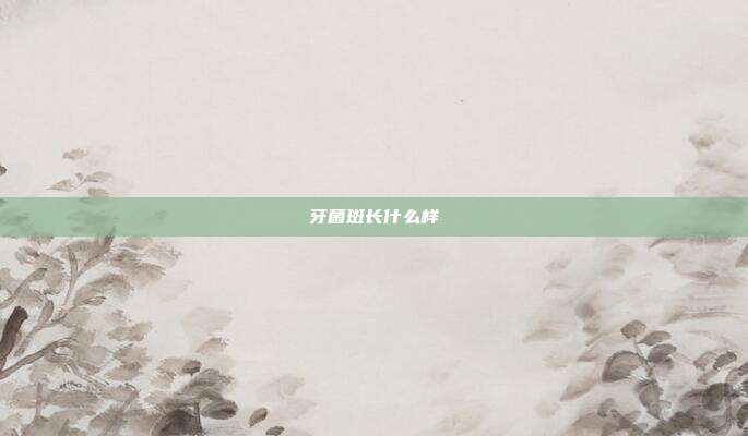 牙菌斑长什么样