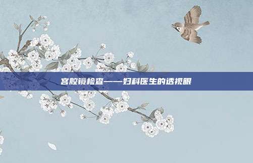 宫腔镜检查——妇科医生的透视眼