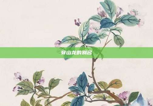穿山龙的别名