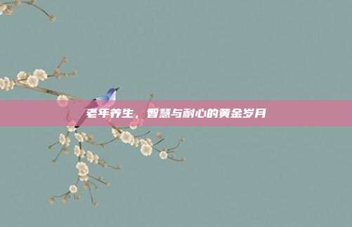 老年养生,智慧与耐心的黄金岁月