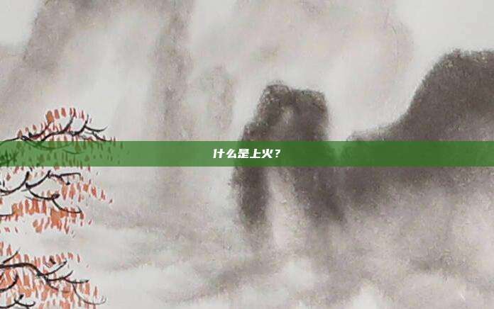 什么是上火?