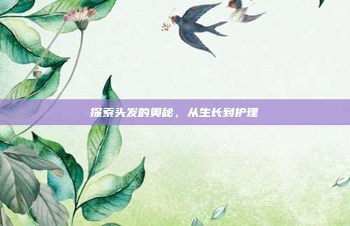 探索头发的奥秘,从生长到护理