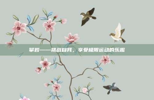 攀岩——挑战自我,享受极限运动的乐趣
