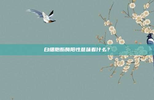 白细胞酯酶阳性意味着什么?
