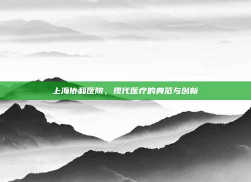 上海协和医院,现代医疗的典范与创新
