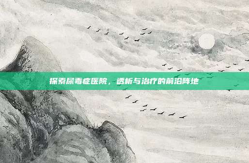 探索尿毒症医院,透析与治疗的前沿阵地