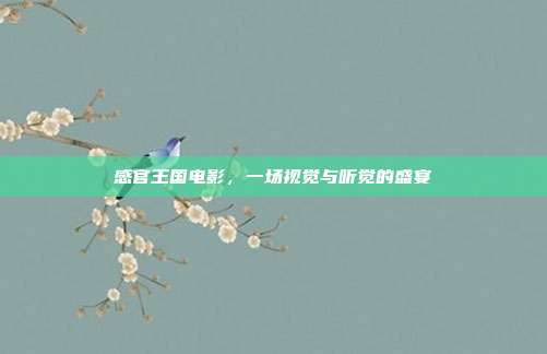 感官王国电影,一场视觉与听觉的盛宴