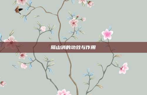 隔山消的功效与作用