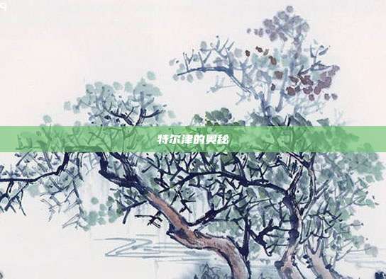 特尔津的奥秘