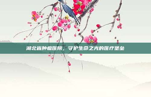 湖北省肿瘤医院，守护生命之光的医疗堡垒