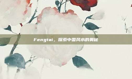 Fengtai,探索中国风水的奥秘
