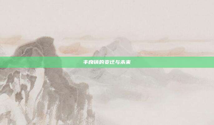 丰良镇的变迁与未来