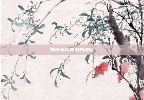 揭秘美容去斑的奥秘