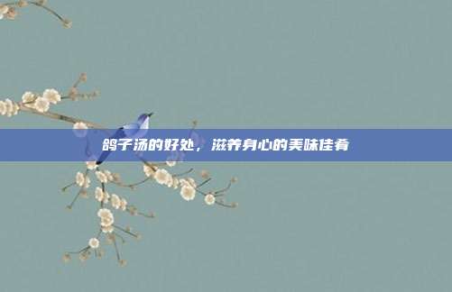 鸽子汤的好处,滋养身心的美味佳肴