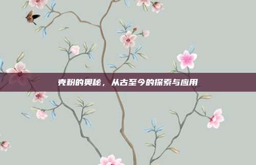 壳粉的奥秘,从古至今的探索与应用