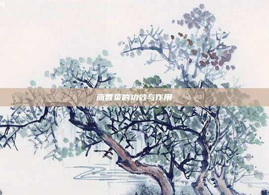 茴香菜的功效与作用
