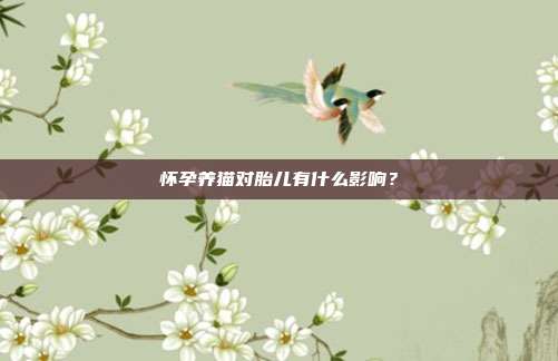 怀孕养猫对胎儿有什么影响?