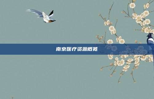 南京医疗资源概览