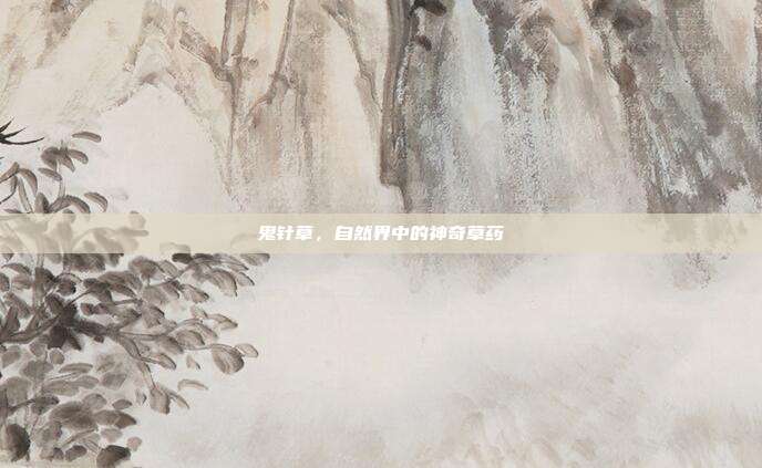鬼针草,自然界中的神奇草药