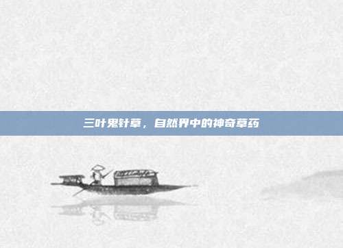 三叶鬼针草,自然界中的神奇草药