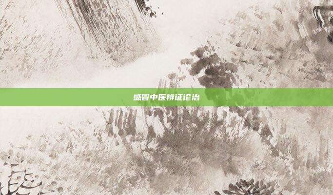 感冒中医辨证论治