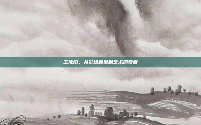 王沈阳,从影坛新星到艺术探索者