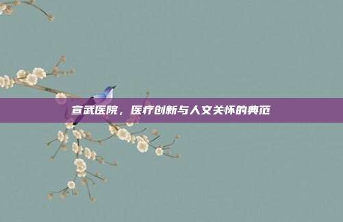宣武医院,医疗创新与人文关怀的典范