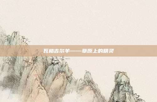 瓦格吉尔羊——草原上的精灵
