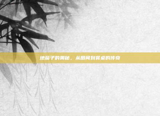 地茄子的奥秘,从田间到餐桌的传奇