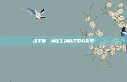 搓手猫，神秘生物的探索与发现