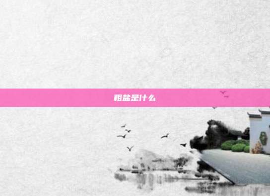 粗盐是什么
