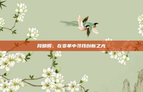 段明辉,在变革中寻找创新之光