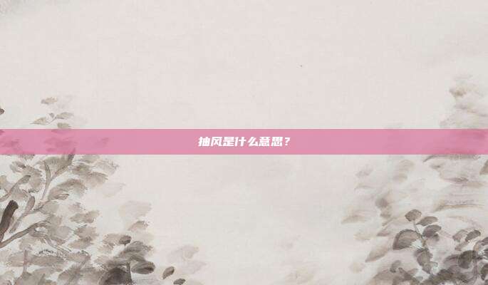 抽风是什么意思?