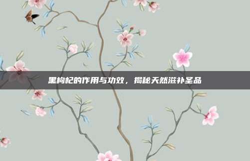 黑枸杞的作用与功效,揭秘天然滋补圣品
