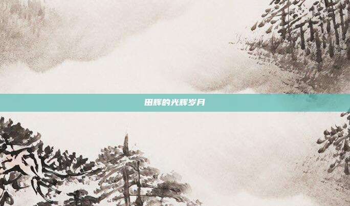 田辉的光辉岁月