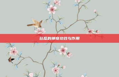 丝瓜的神奇功效与作用