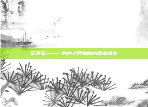 荜澄茄——一种古老而神秘的草本植物
