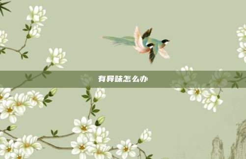有异味怎么办