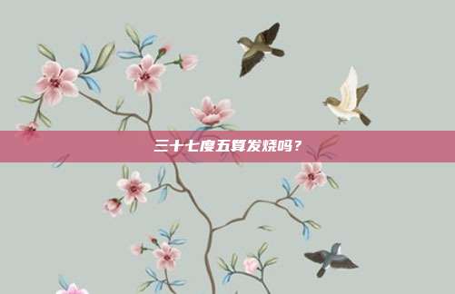 三十七度五算发烧吗？
