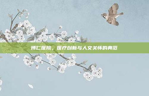 博仁医院，医疗创新与人文关怀的典范