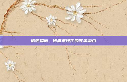 清炖鸡肉，传统与现代的完美融合